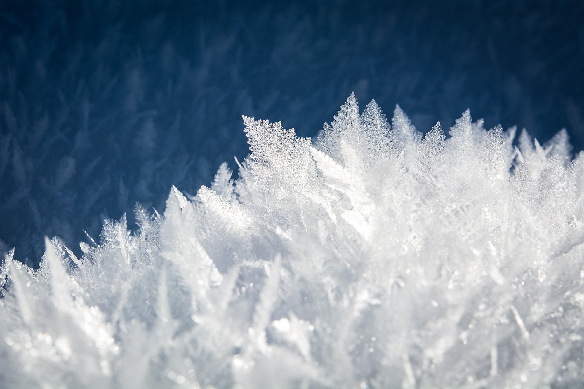 Winter – The Divine Nourishment That Comes From God