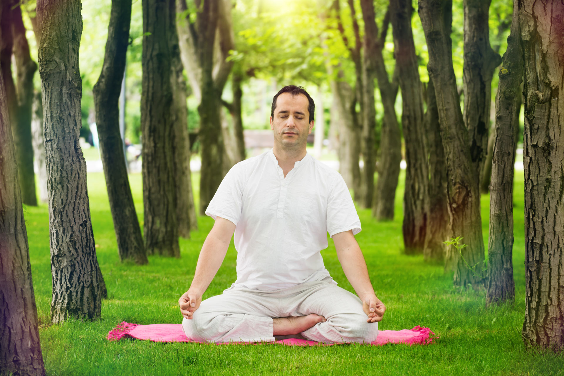 online-yoga-academy-article-prana